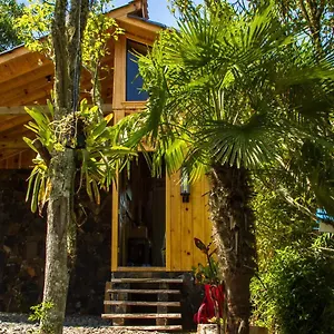 https://vale-das-macieiras.santa-catarina-brasil.com